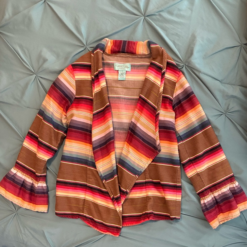 Tasha Polizzi Multicolor Striped Blazer